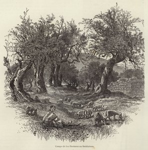 Field of the Shepherds in Bethlehem by European School