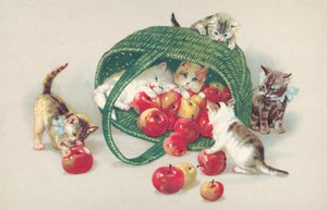 Cat Postcard