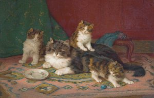 Cat Postcard by European School