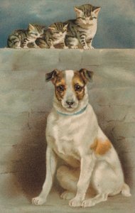 Cats Observing a Dog