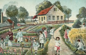 Children in a Garden or Allotment