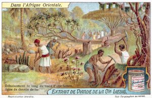 Clearing the route for a railway line by European School
