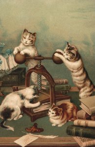 Comic cats, pressing books