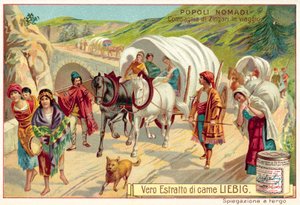 Company of Gypsies Travelling by European School