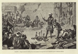 Egypt - Demonstration by a Snake Charmer