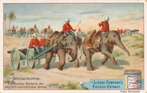 English Soldiers Pulled by Elephants in India