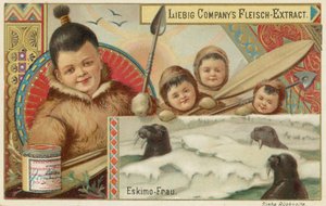 Eskimo by European School