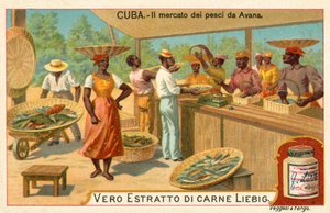 Fish market of Havana, Cuba by European School