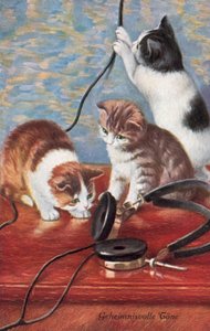 Humorous cat postcard by European School