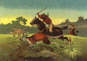 Hunting Kangaroos