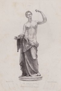Illustration for The Anatomy of the External Forms of Man: The Townley Venus, British Museum by European School