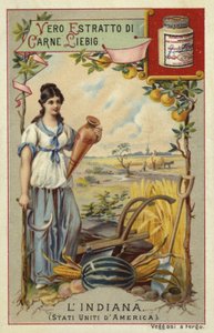 Indiana by European School