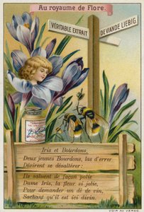 Iris and bumblebees by European School