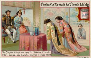 Japanese Women Received by Mikado and His Wife