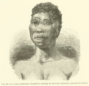 The Hottentot Venus, after the Moulding of the Natural History Museum of Paris by European School