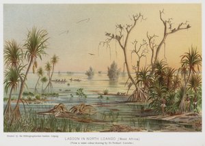 Lagoon in North Loango, West Africa