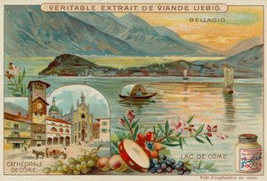 Lake Como by European School