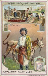 Leather: Cattle