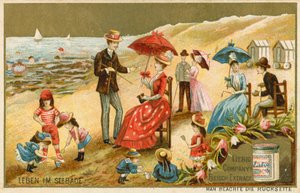 Life at the Seaside