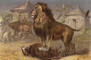Lion in the Seriba by European School