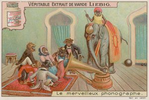 Monkeys and a gramophone