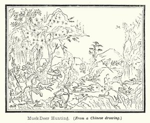 Musk-Deer Hunting by European School