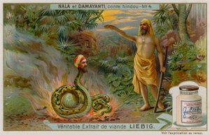 Nala Saves the Snake Naga Karkotaka by European School