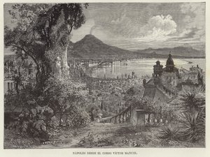 Naples from the Corso Victor Manuel by European School
