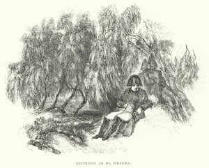 Napoleon at St Helena by European School