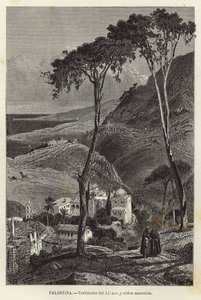 Palestine, Lilano Springs and Maronite Village by European School