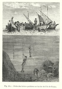 Pearl Oyster Fishing on the Coast of Ceylon (engraving)