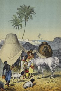 People, animals and plants of North Africa and Arabia by European School