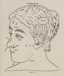 Phrenology, A Manageress by European School