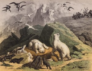 Polar Bears of Northern Siberia Feasting on a Dead Walrus by European School