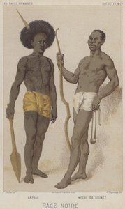 Black Race, Papuan, Black of Guinea by European School