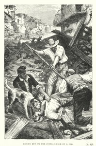 Rescue Due to the Intelligence of a Dog by European School