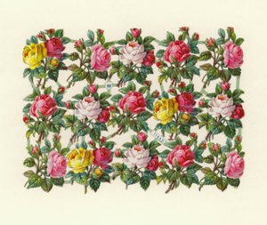 Roses by European School