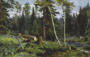 Scene in a Forest with Felled Trees