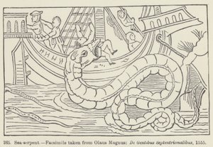 Sea-serpent by European School