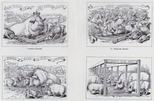 Socialist Cartoon of 1895 on Different Forms of Government by European School