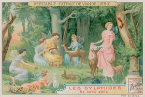 Sylphs and Woodland Animals by European School