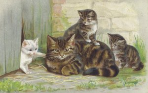 Tabby Cat with Three Kittens