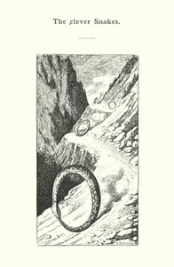 The Clever Snakes by European School