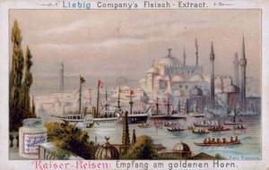 The Golden Horn in Istanbul by European School