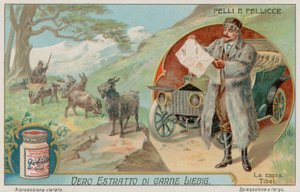 The Tibetan Goat by European School