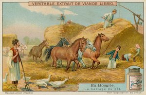 Threshing the Wheat Crop by European School