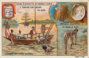 Treasures of the Sea by European School