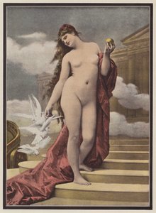 Venus