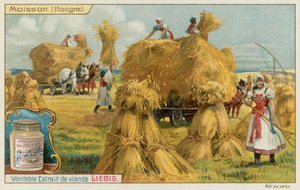 Wheat Harvest in Hungary by European School