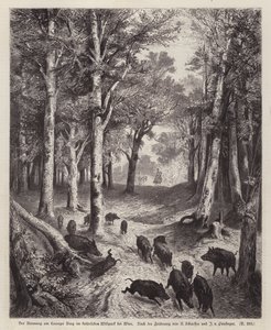 Wild Boar on the Lorenzer Berg in the Imperial Park in Vienna, Austria by European School